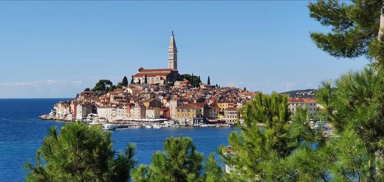 B&B Palace Basilico 1580. Rovinj Exterior foto